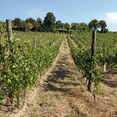 Podere Pradarolo Feriegård Varano deʼ Melegari