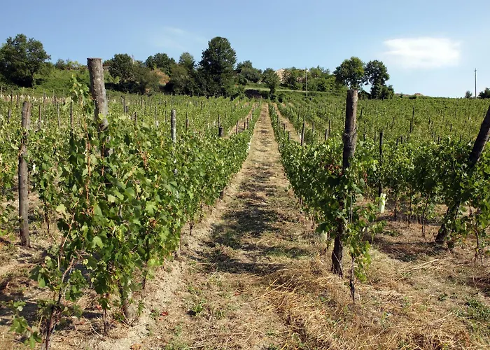 Podere Pradarolo Lantgård Varano deʼ Melegari